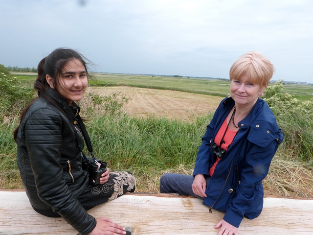 OVER VOS/VOSSEN, GANS/GANZEN, KIEVIT/KIEVITEN, KLAPROOS/KLAPROZEN